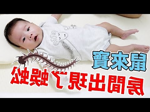 房間 蜈蚣